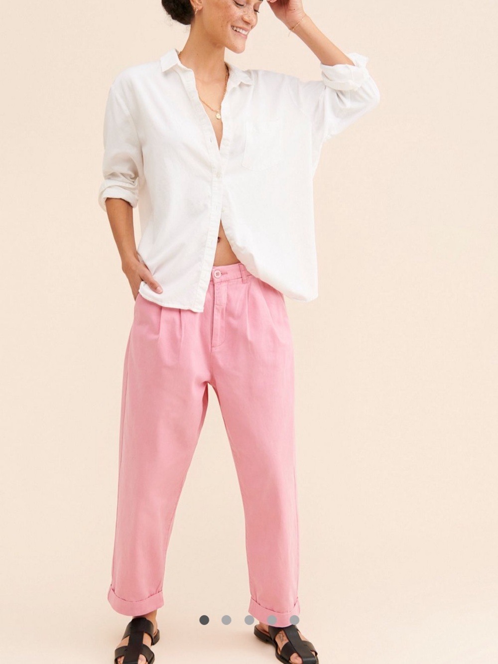 Anthropologie Pistola Kellin Pleated Chinos Trousers Pants in Pink Size 29